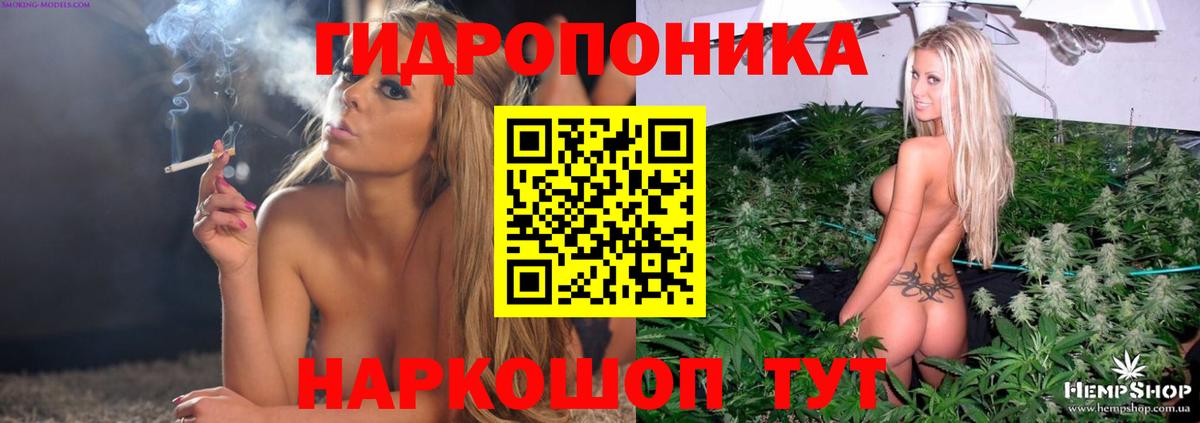 Бошки Шишки OG Kush  МАРИХУАНА сатива  Вход с VPN  Каменск-Уральский  Бошки марихуана план  Бошки марихуана конопля 
